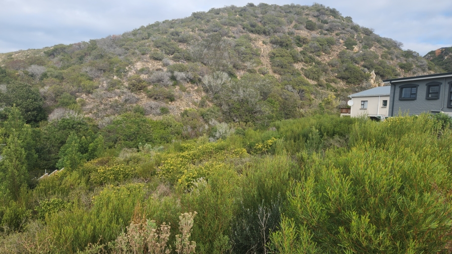 0 Bedroom Property for Sale in Island View Western Cape